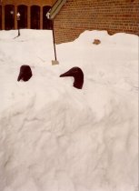 Canadian Geese sculpture in the snow